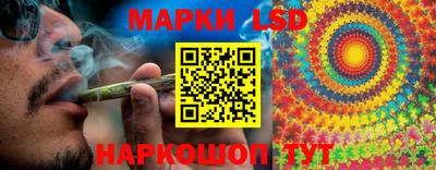 гашик Будённовск