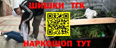 гашик Будённовск