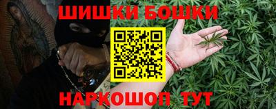 гашик Будённовск