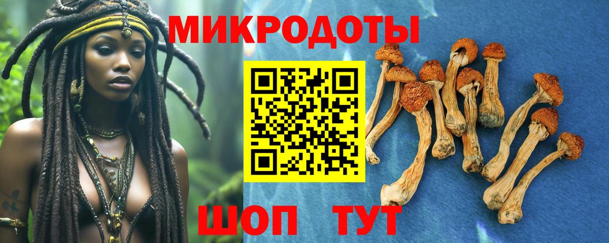 наркошоп  Вход с VPN  Псилоцибиновые грибы Cubensis  Мурманск  Псилоцибиновые грибы MAGIC MUSHROOMS 