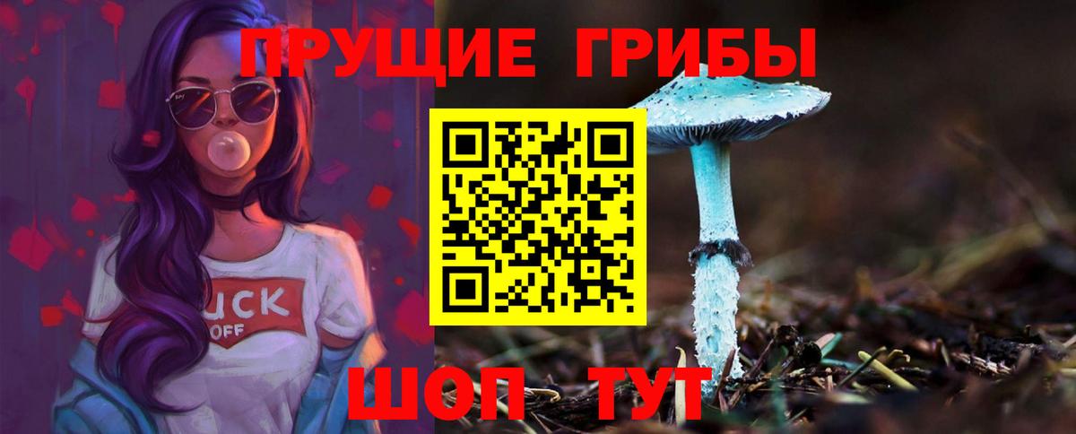 Галлюциногенные грибы мухоморы Мурманск